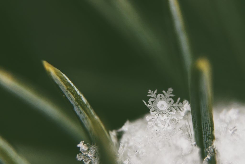 schneeflocke