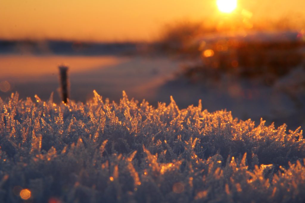 eis, ice