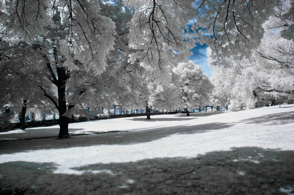 Winterwunderland, winterwonderland