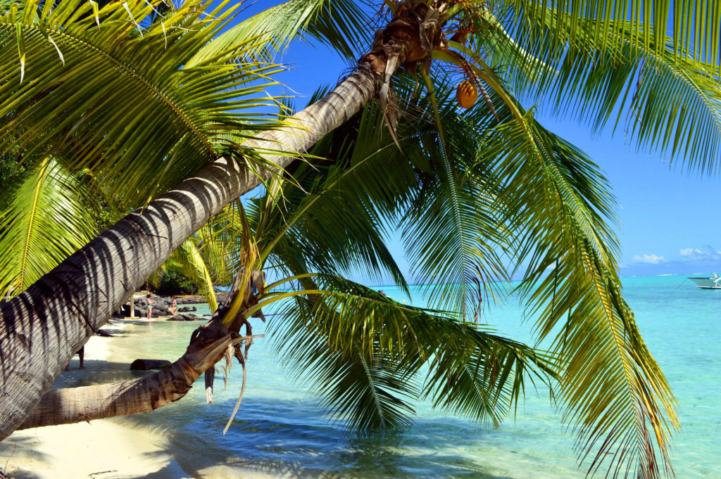 borabora