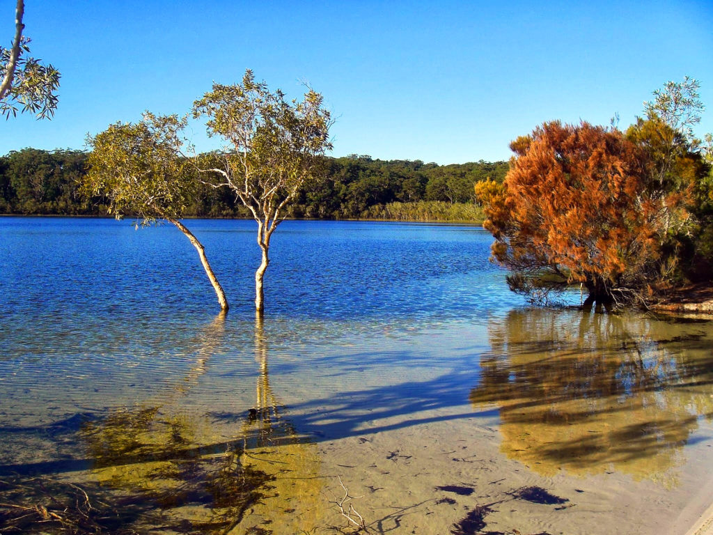 fraserisland