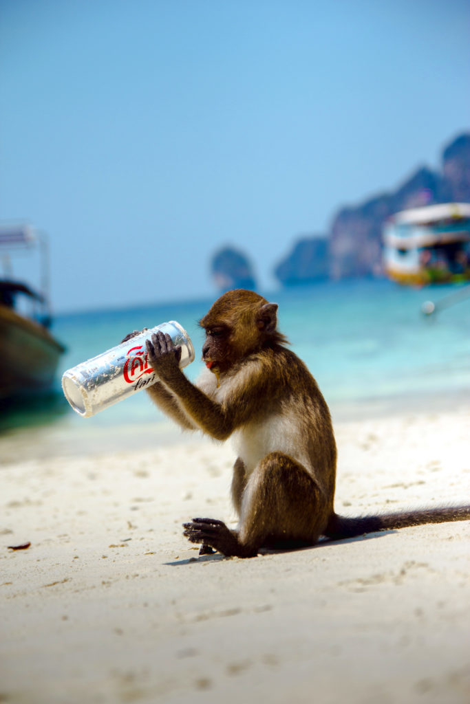 kohphiphi